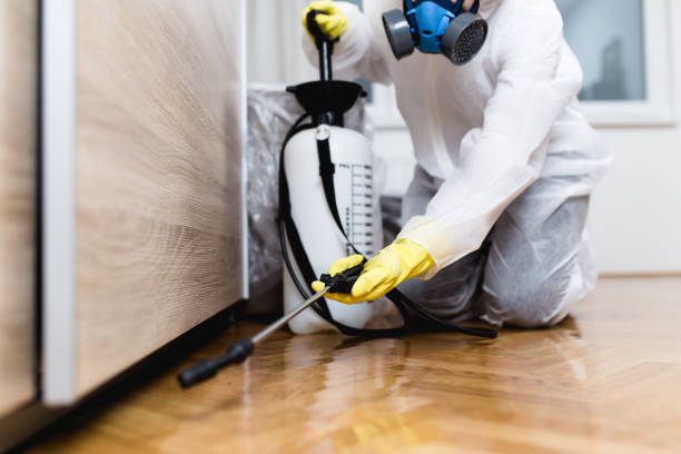 Best Emergency Pest Control  in Hales Corners, WI