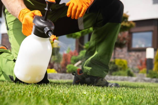 Best Pest Removal Services  in Hales Corners, WI