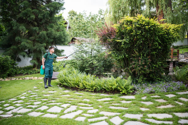 Best Pest Control Near Me  in Hales Corners, WI