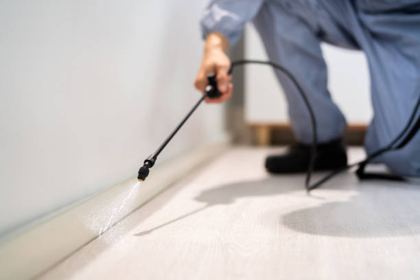 Professional Pest Control in Hales Corners, WI