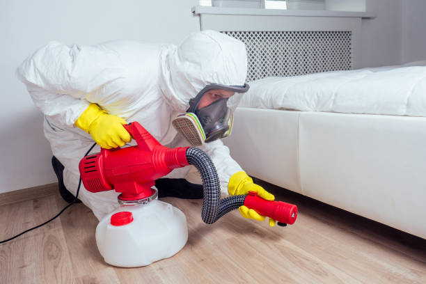 Best Rat Extermination Near Me  in Hales Corners, WI