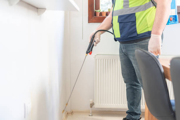Best Local Pest Control Services  in Hales Corners, WI