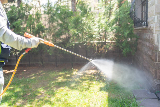 Best Emergency Pest Control  in Hales Corners, WI