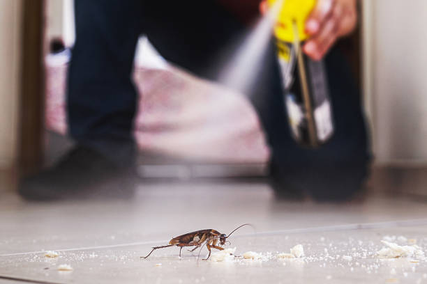 Best Affordable Pest Control Services  in Hales Corners, WI