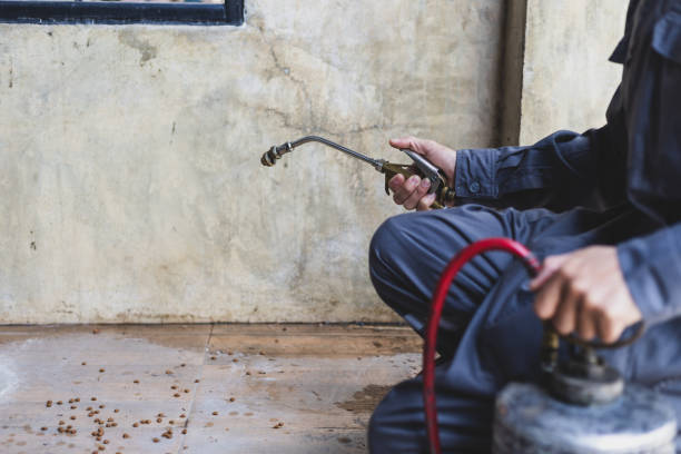 Best Pest Prevention Services  in Hales Corners, WI